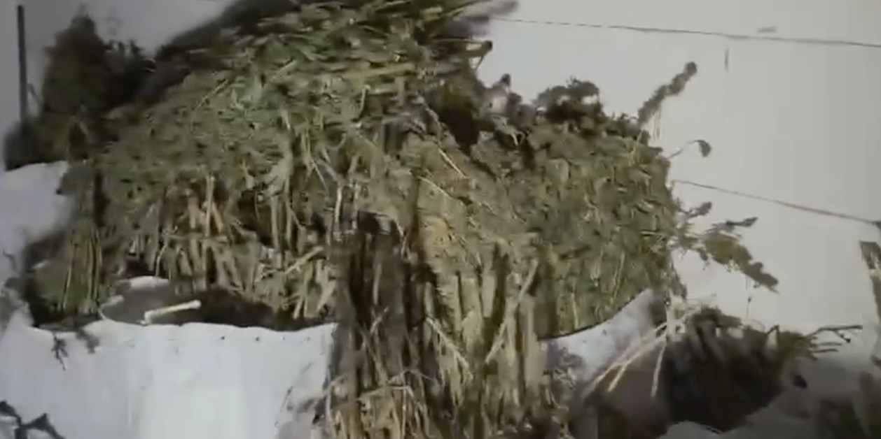 eski fabrika binasini uyusturucu imalathanesine cevirmis 130 kilo uyusturucu ele gecirildi 1 nGZshR4F