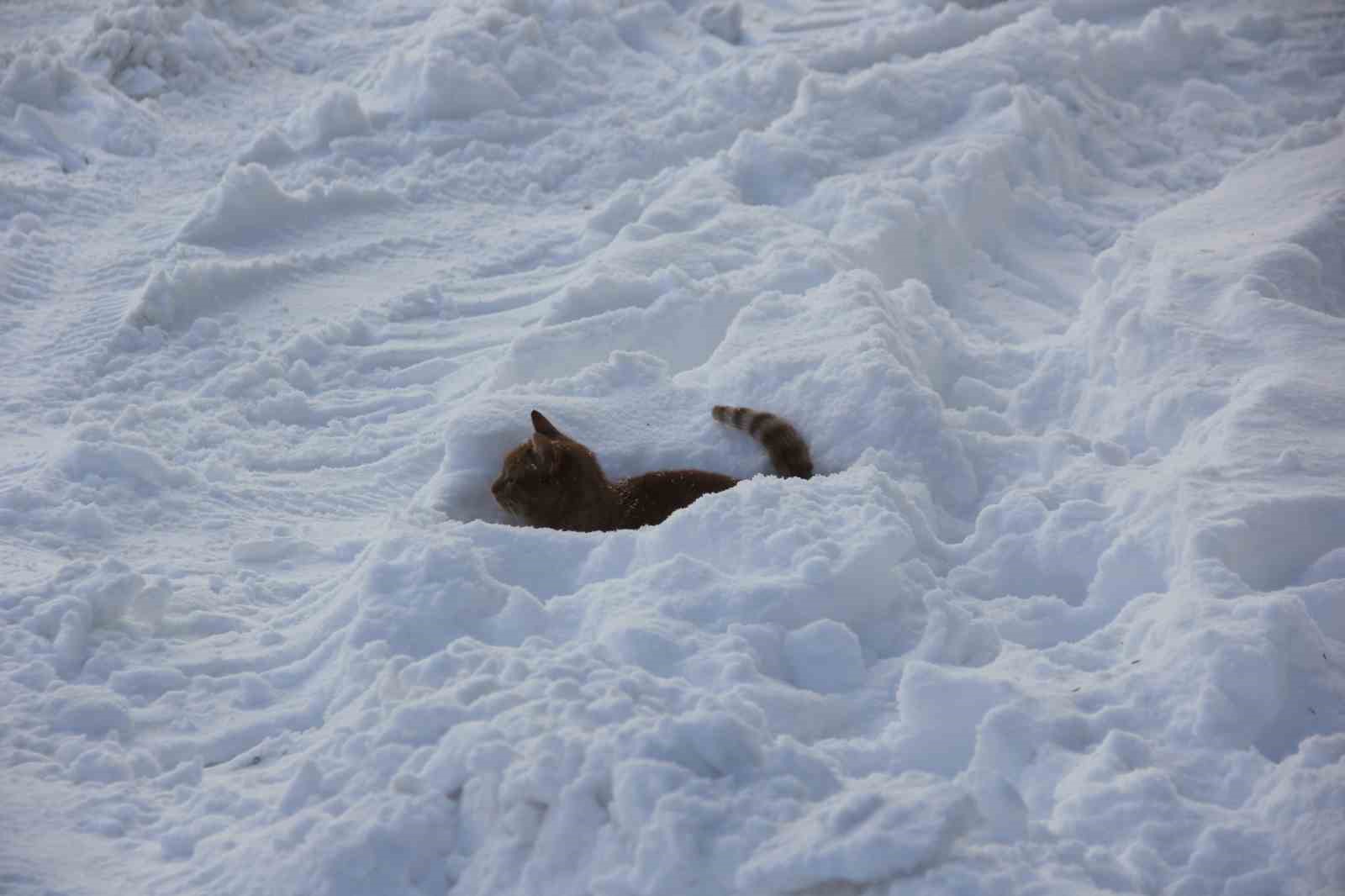 eski kislar geri geldi kizilirmakin yuzeyi kismen dondu 0 sHwyFgkg