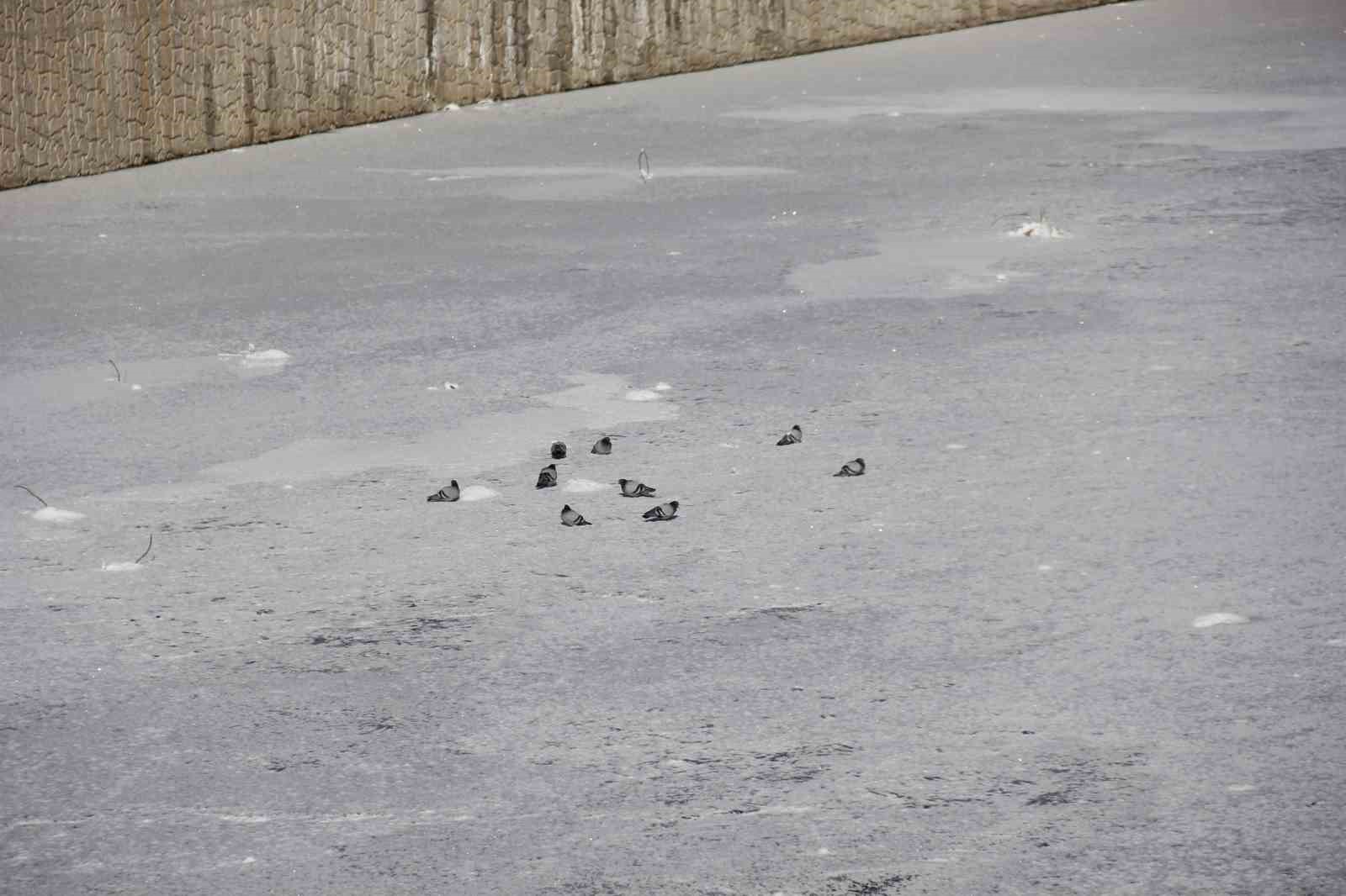 eski kislar geri geldi kizilirmakin yuzeyi kismen dondu 6