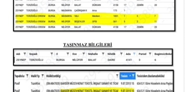 eski-nilufer-belediye-baskani-erdemin-rusvetten-aldigi-tasinmazlari-sevgilisinin-uzerine-yaptigi-iddia-edildi-mQwZ6sV2.jpg
