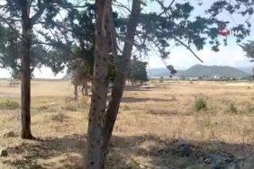 Namet tesisindeki yangına TOMA’larla müdahale edildi 1 thumbnail