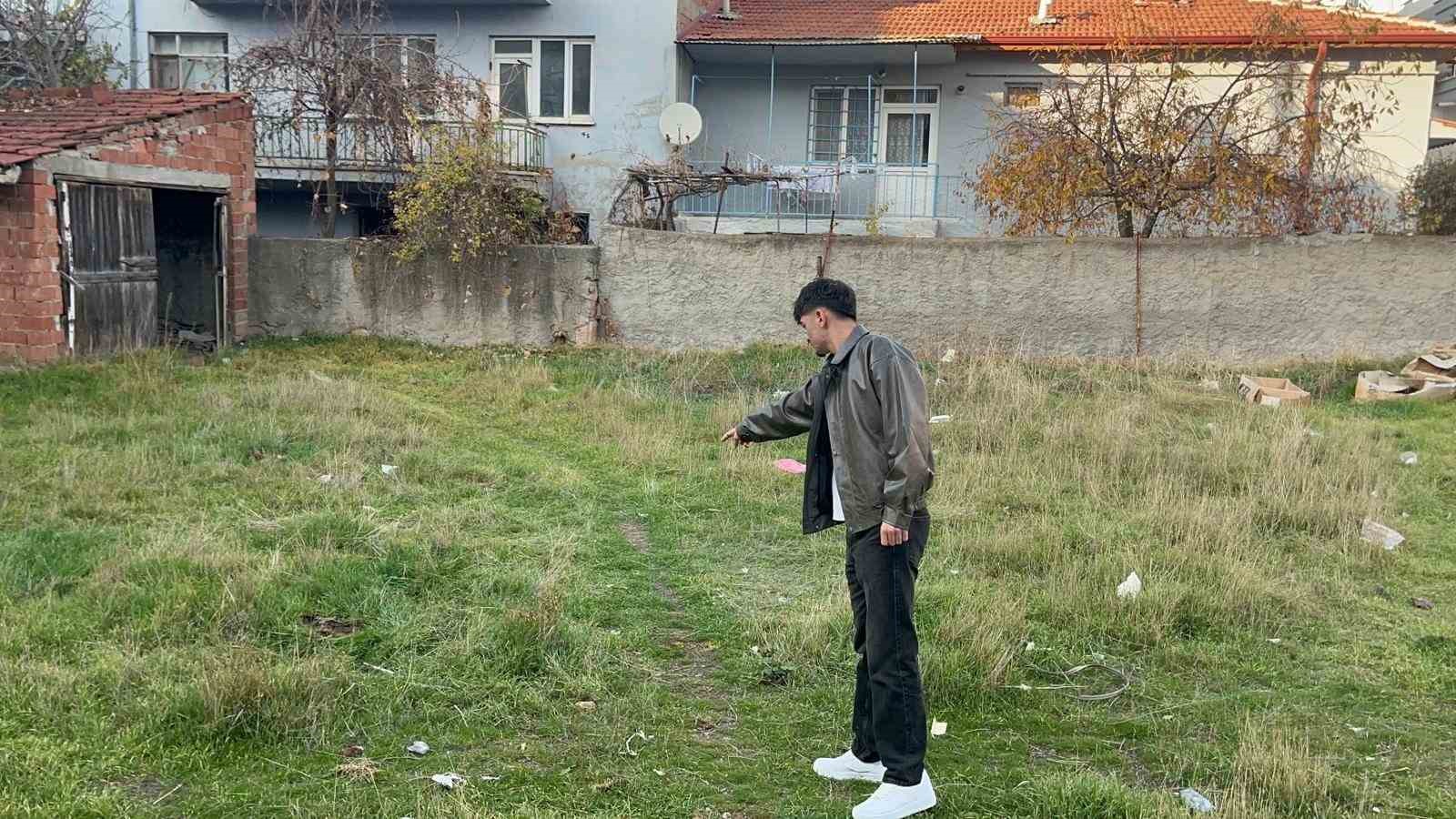 eskisehirde bos arsada 8 olu kedi bulundu 2 TrkHICGL