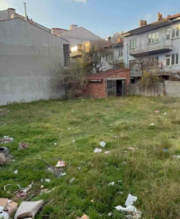 eskisehirde-bos-arsada-8-olu-kedi-bulundu-OIEM4J9i.jpg