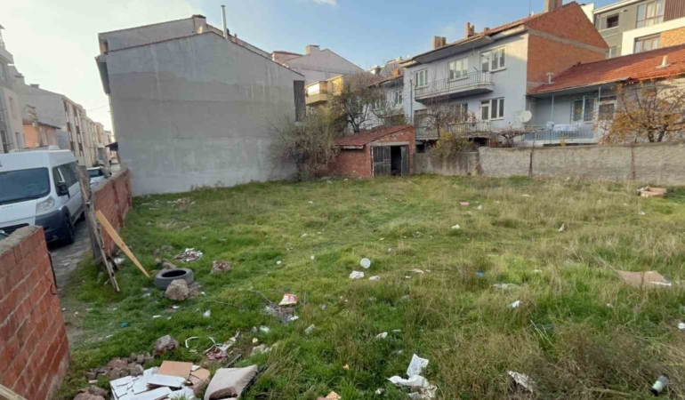 eskisehirde-bos-arsada-8-olu-kedi-bulundu-OIEM4J9i.jpg