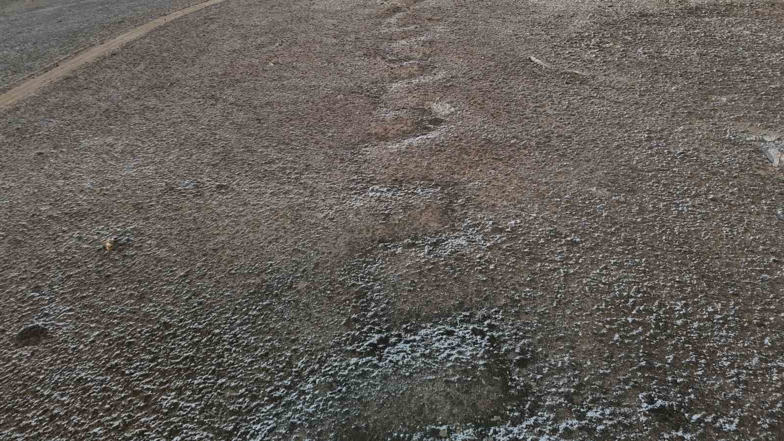 eskisehirdeki koyde ilginc arazi sikintisi 1 MFa69UAS