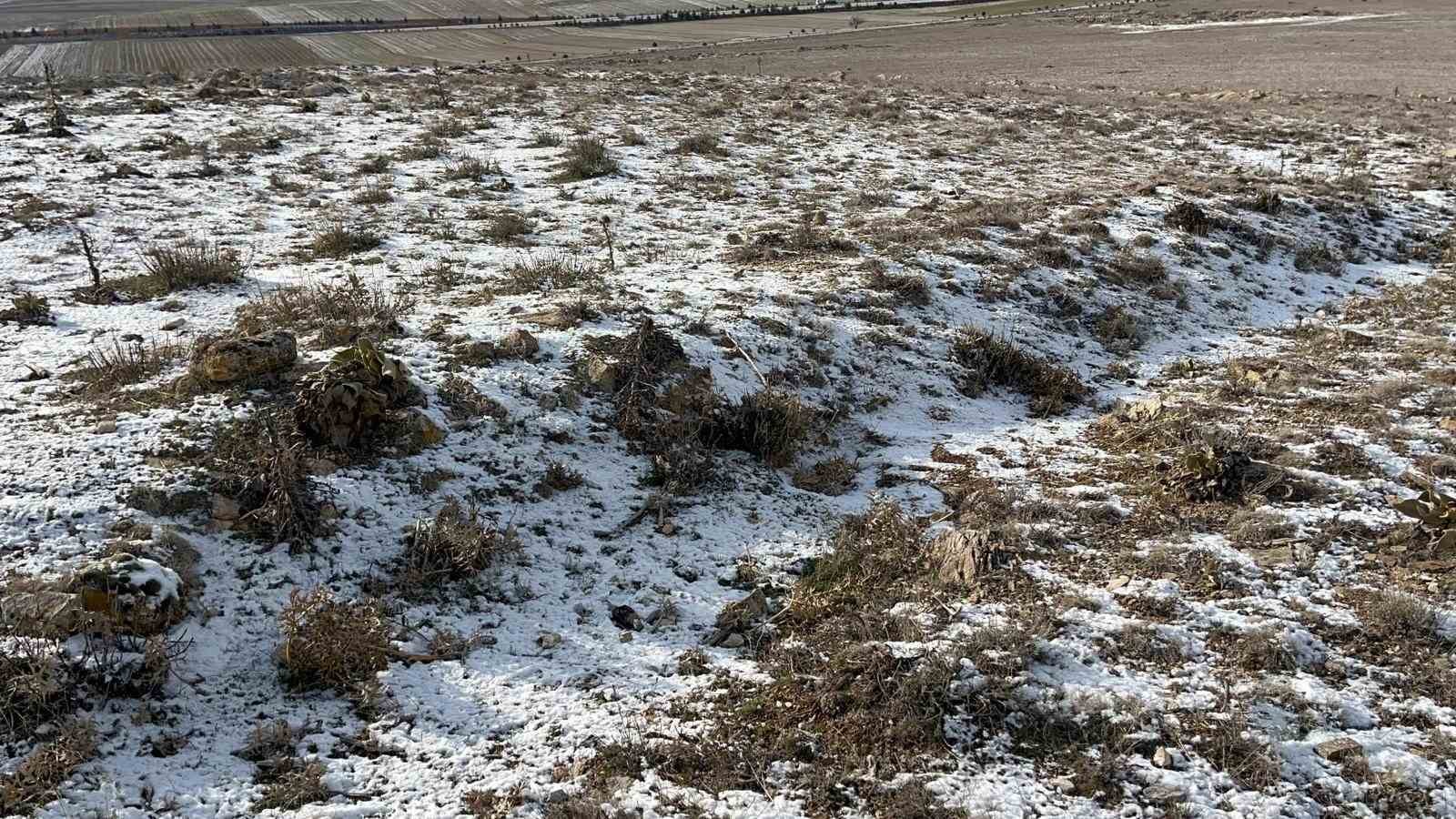 eskisehirdeki koyde ilginc arazi sikintisi 7