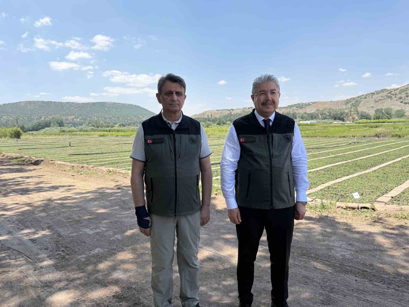 eskisehirden yangin bolgelerine gonderilen milyonlarca fidan nefes olacak 1 UErpIhbE