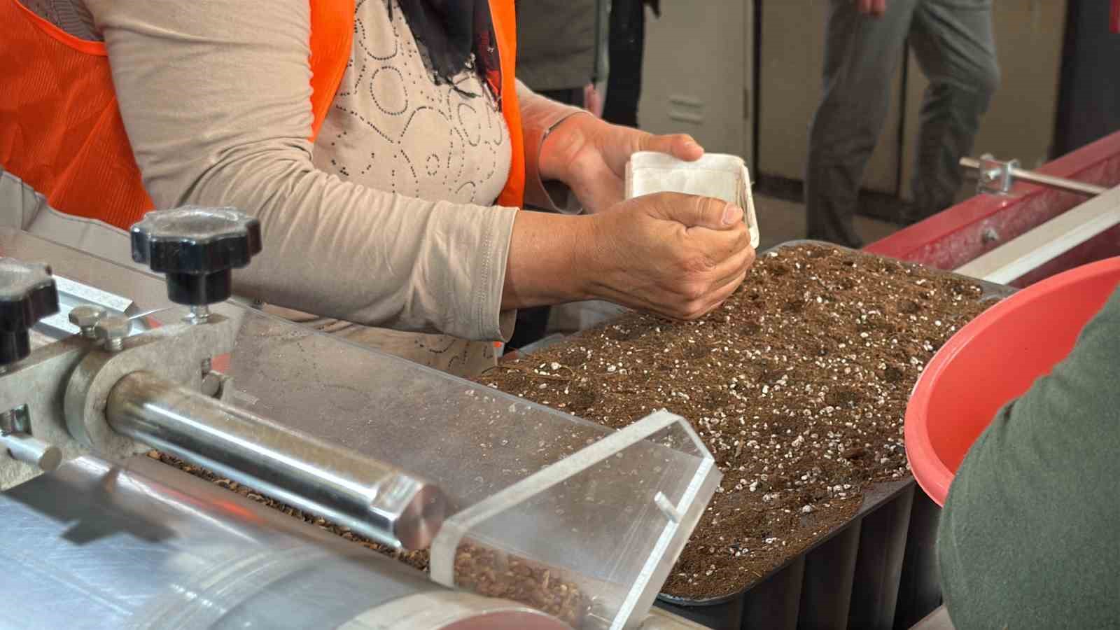 eskisehirden yangin bolgelerine gonderilen milyonlarca fidan nefes olacak 3 ZA4m7VHb