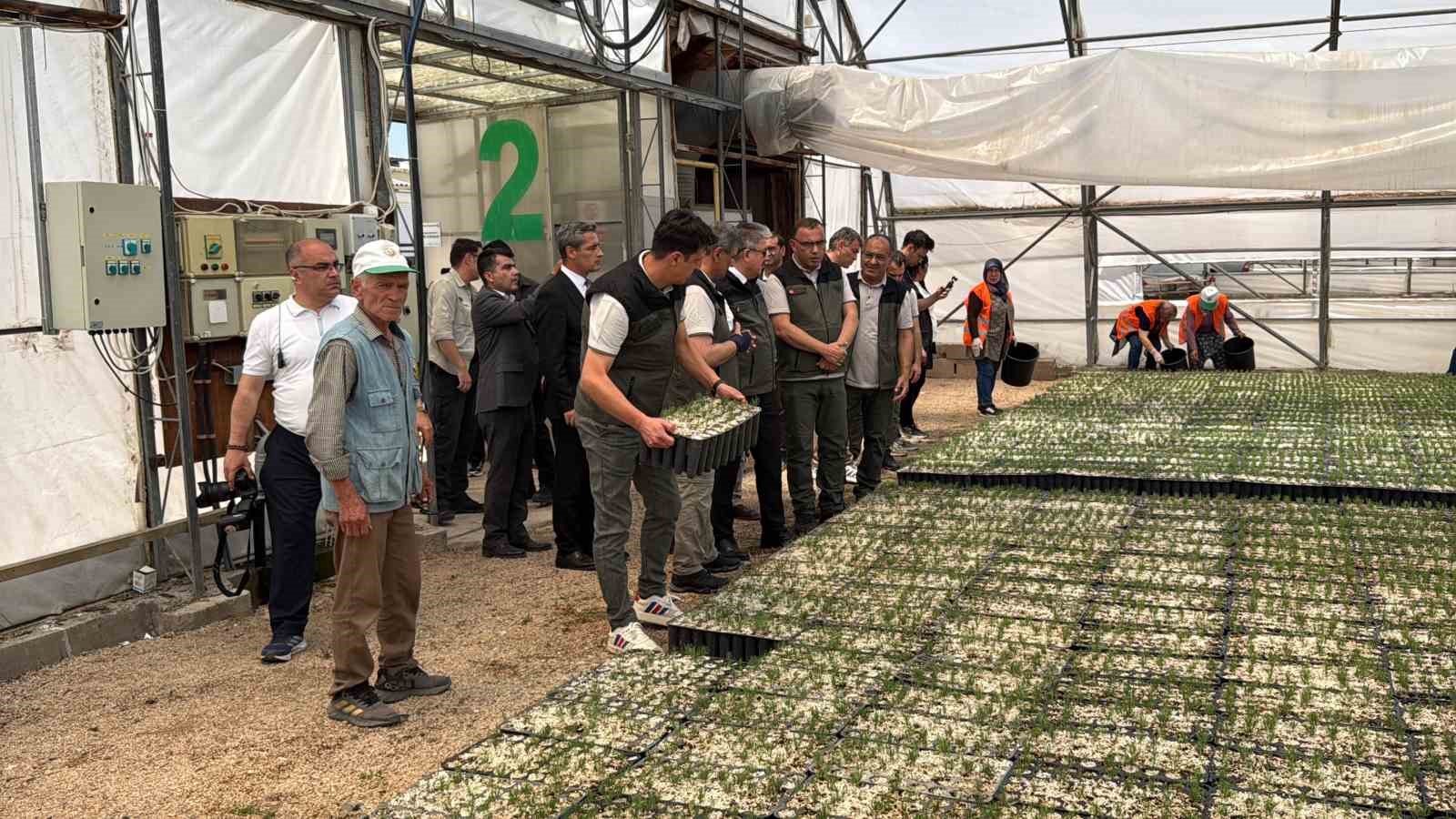 eskisehirden yangin bolgelerine gonderilen milyonlarca fidan nefes olacak 4 nILkIuus