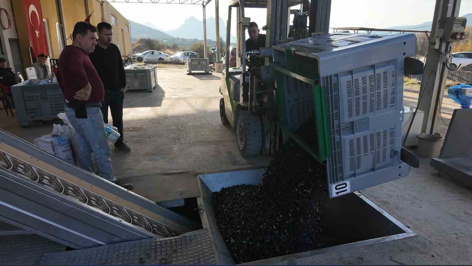 eskisehirin akdenizinde zeytinyaginin soguk sikim yolculugu 0 tEa29pf9