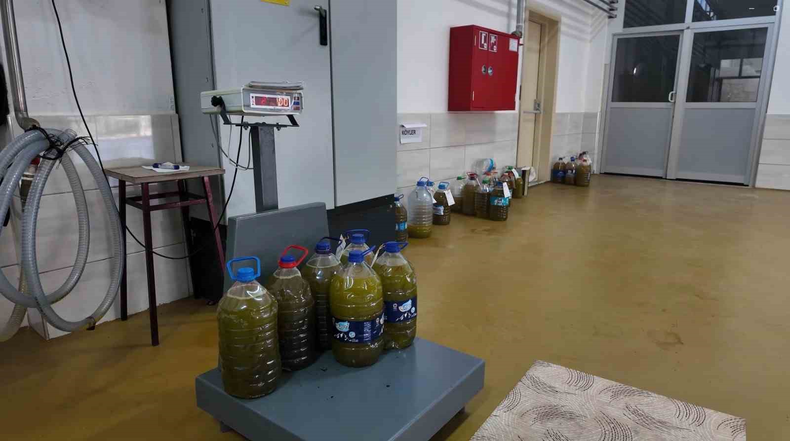 eskisehirin akdenizinde zeytinyaginin soguk sikim yolculugu 1 e9SIGSQU