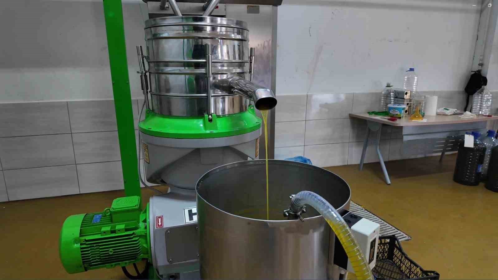 eskisehirin akdenizinde zeytinyaginin soguk sikim yolculugu 5 i1XfGptg