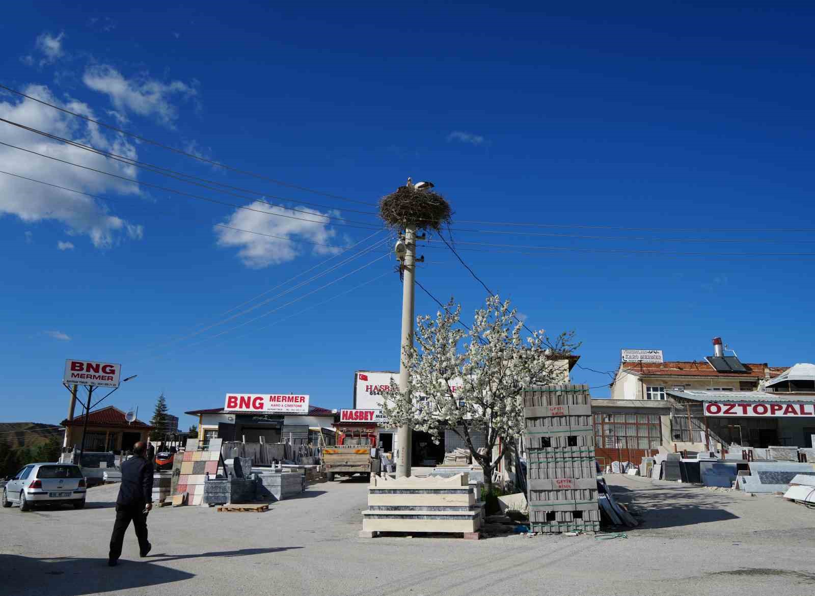 Esnafın merakla beklediği Rüzgar ve Nergis, 4’üncü yılında da aynı yuvaya döndü 9 esnafin merakla bekledigi ruzgar ve nergis 4uncu yilinda da ayni yuvaya dondu 5 LYZz7aaM