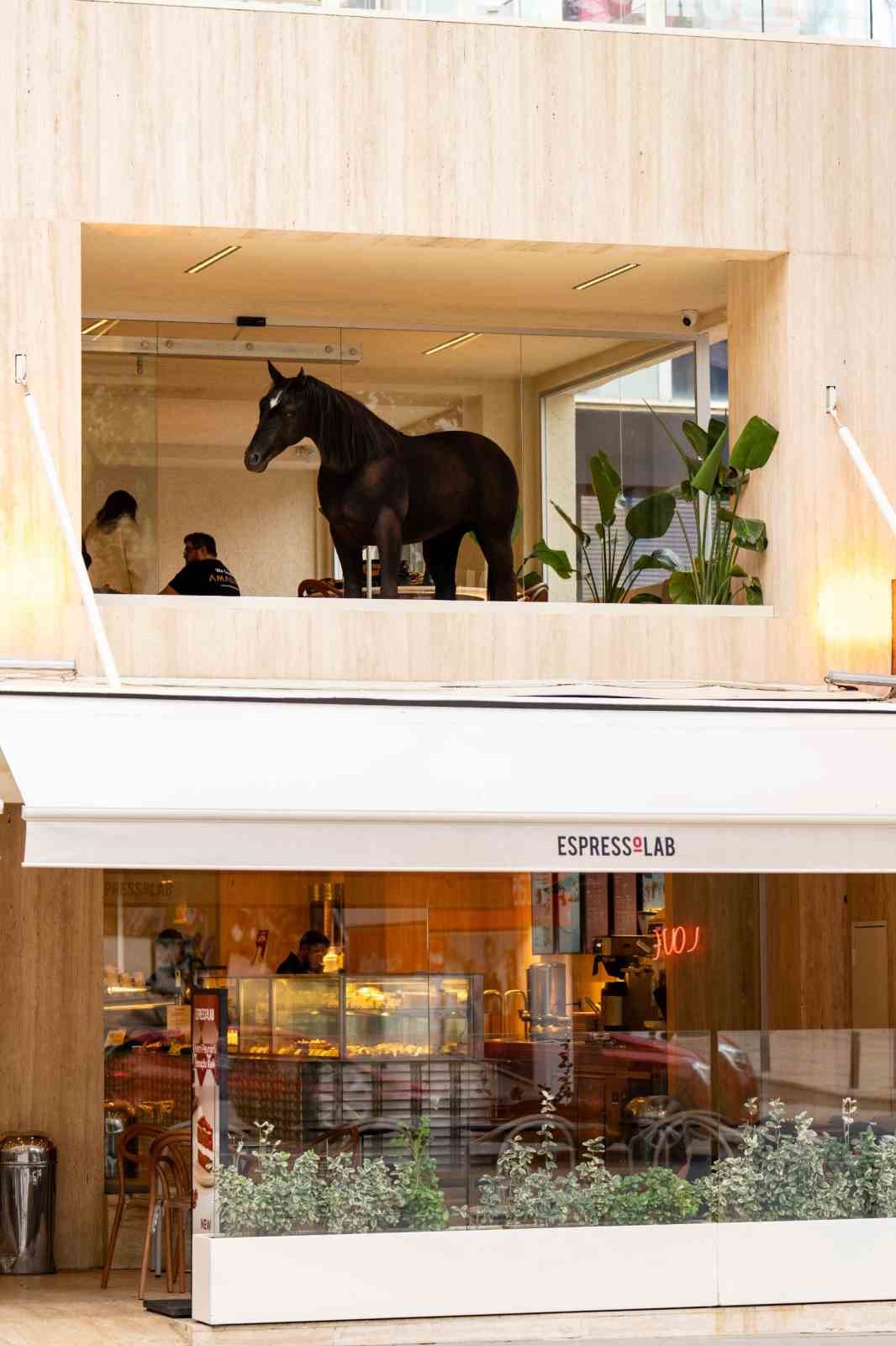 espressolab jurassic park teknolojisini sehirle bulusturdu 1 F7tLBqI7