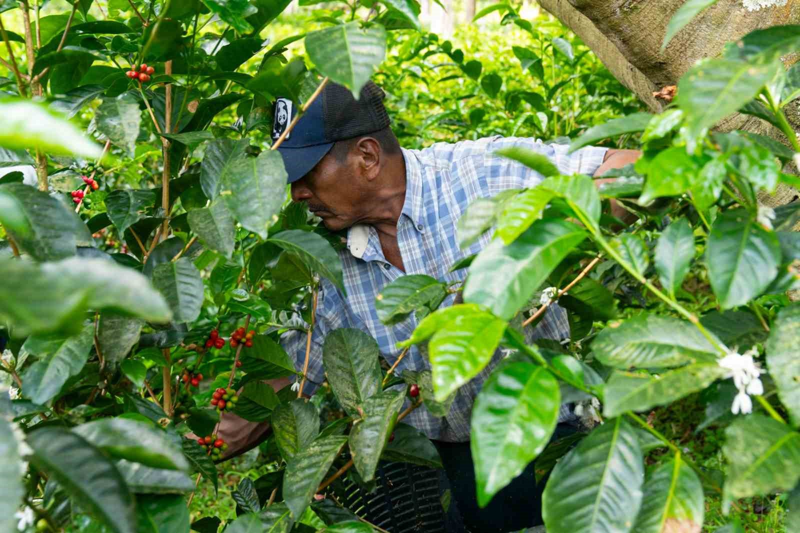 espressolabden kahve uretiminde seffaf ve izlenebilir sistem 0