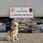 esya-tasinan-tir-dorsesinden-3-bin-karton-kacak-sigara-cikti-1GsOBkg2.jpg