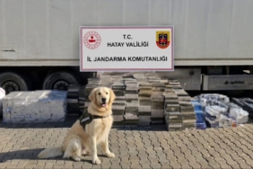 esya-tasinan-tir-dorsesinden-3-bin-karton-kacak-sigara-cikti-1GsOBkg2.jpg