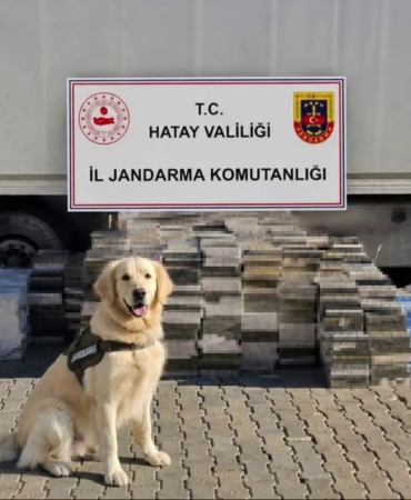 esya-tasinan-tir-dorsesinden-3-bin-karton-kacak-sigara-cikti-1GsOBkg2.jpg