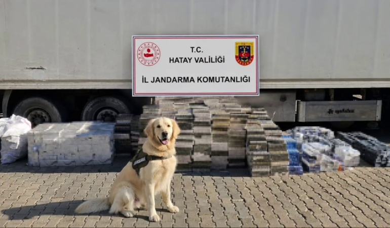 esya-tasinan-tir-dorsesinden-3-bin-karton-kacak-sigara-cikti-1GsOBkg2.jpg