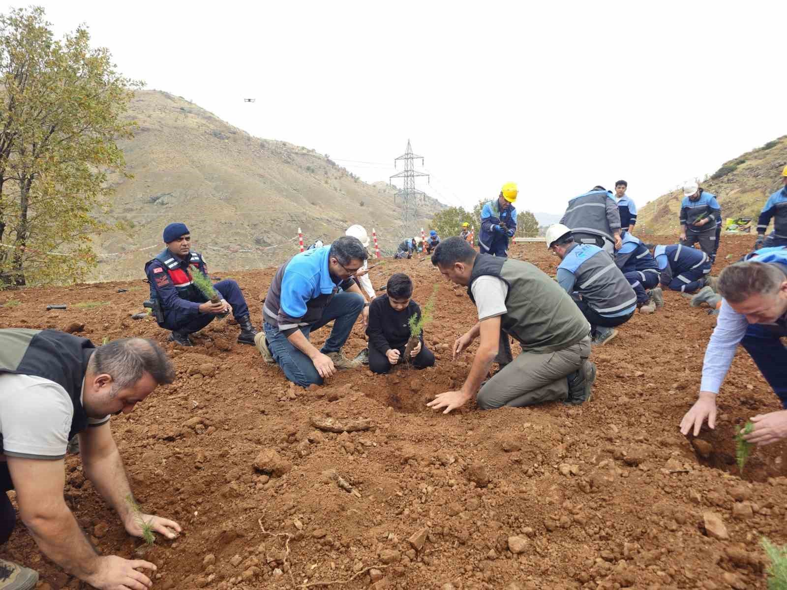 eti bakirdan agaclandirma seferberligi 0 zOmk9iAq
