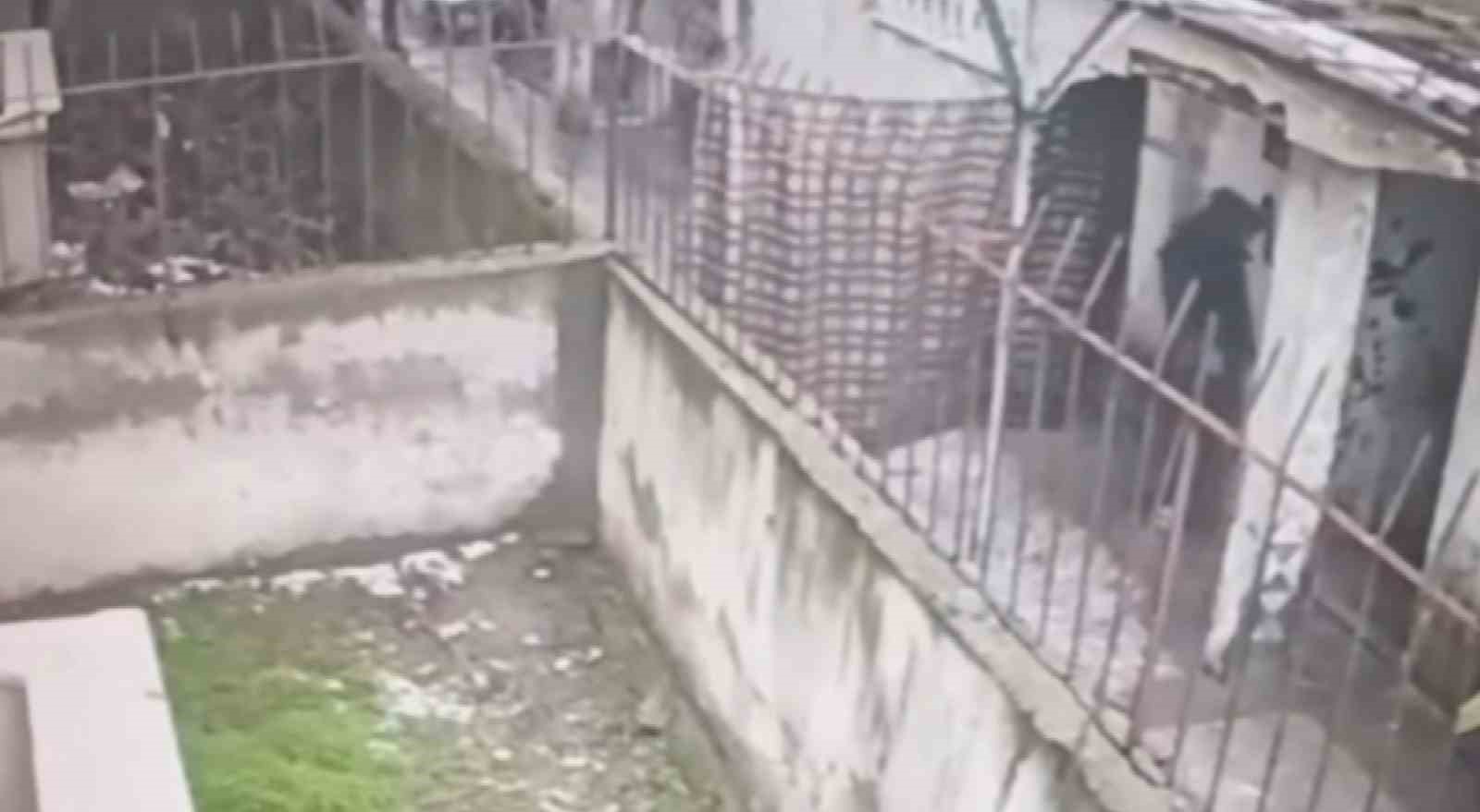 ev fareleri kameraya yakalandi 2 p6PkjNiI