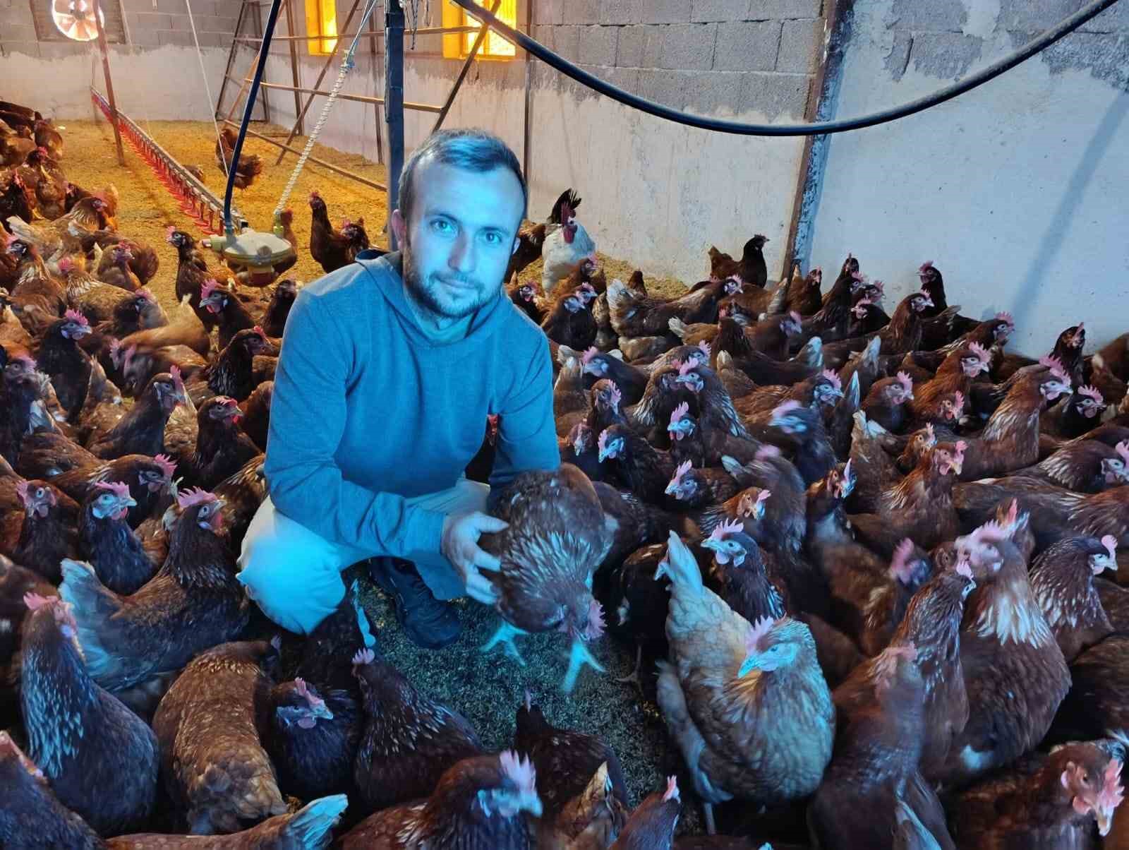 Ev kiraları şehirden kaçırdı, köyde "gezen tavuk" çiftliği kurdu 6 ev kiralari sehirden kacirdi koyde gezen tavuk ciftligi kurdu 2 Bz1aCTOb