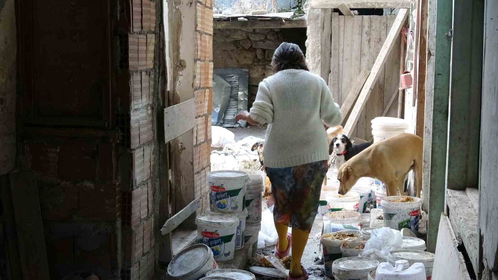 ev sahibiyle kiracinin copluge donmus bahce kavgasi 5 qO83a54w