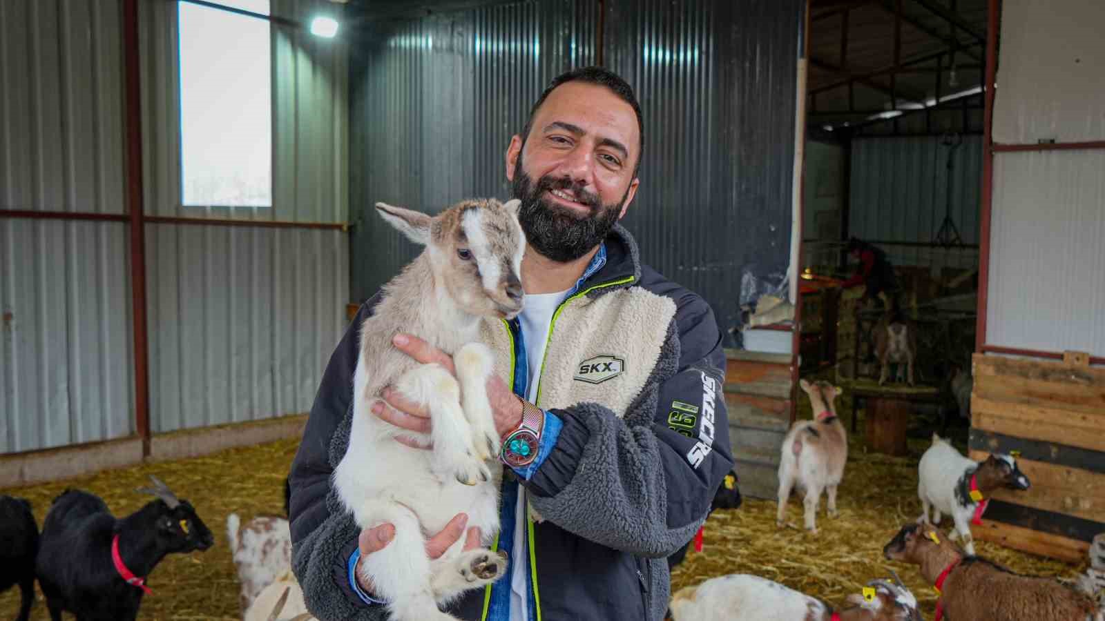 evcil hayvanlara yeni alternatif kedi kopegin yerini cuce keci alabilir 2 aTCwliZW