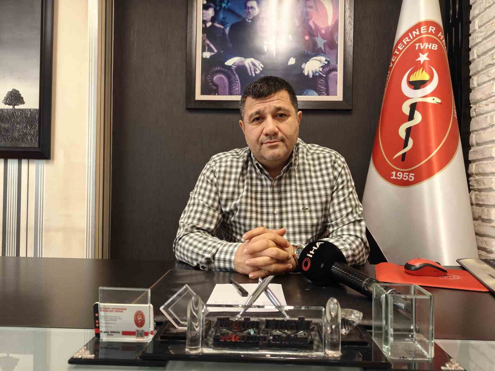 evcil hayvanlarda kisin tuy dokme hastalik degil 0 jfwuZDna