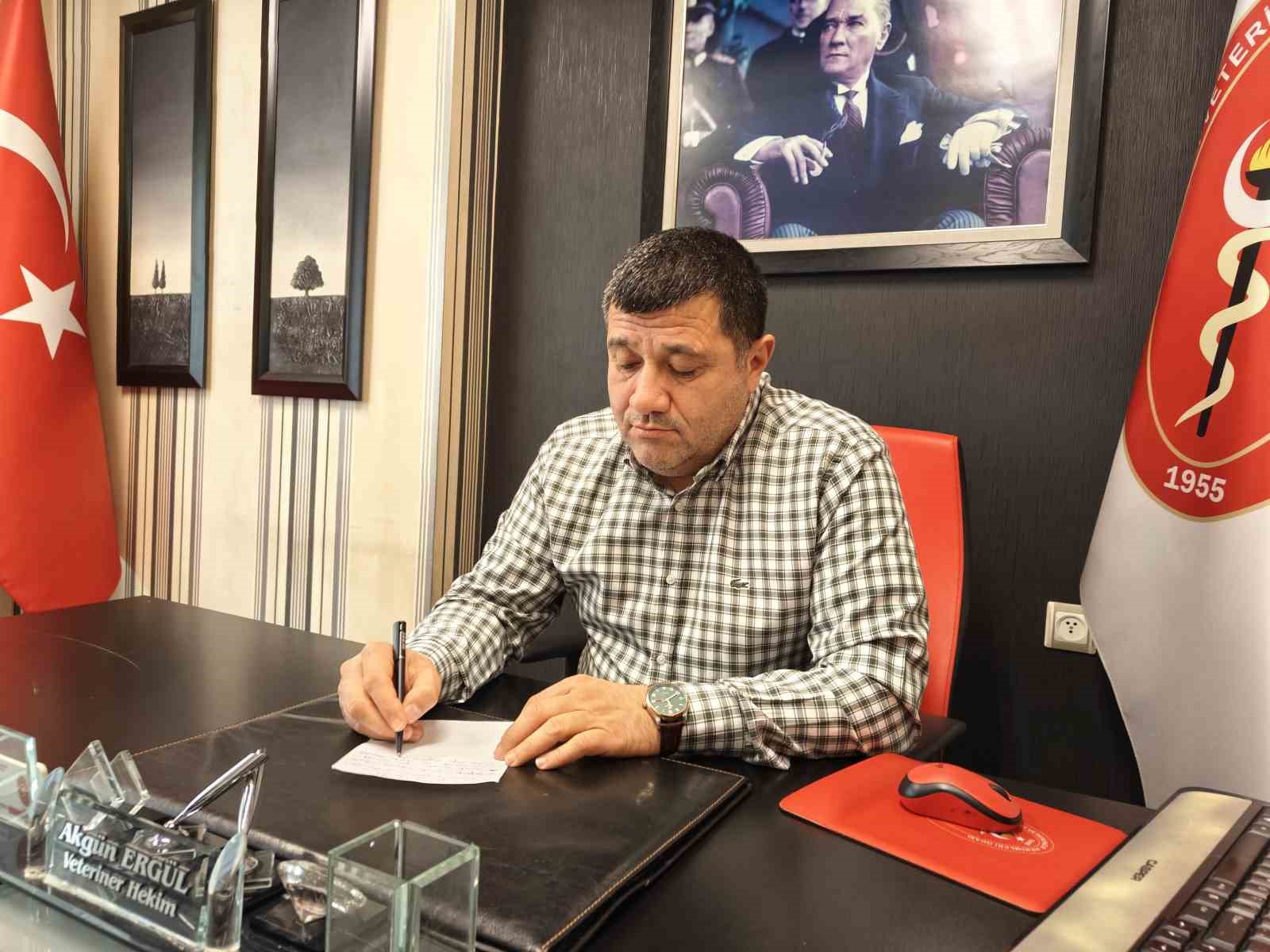 evcil hayvanlarda kisin tuy dokme hastalik degil 5 j2RTABBB