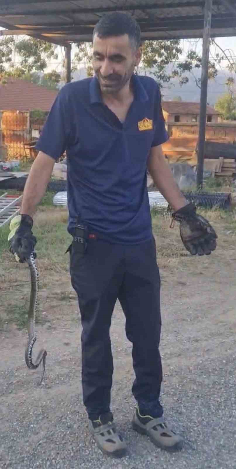 eve giren yilani itfaiye ekipleri cikartti 1 hVrc9I6Q