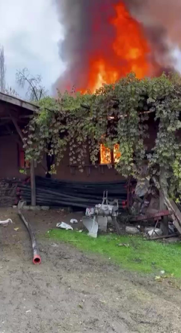 evi yanan yasli ciftcinin biriktirdigi paralar ve esyalari kule dondu 12 lQQi7XEW