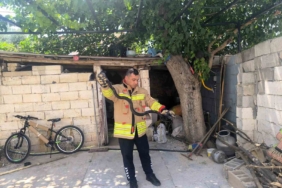 evin-bahcesinde-gorulen-2-karayilan-panige-neden-oldu-pOhPcPkn.jpg