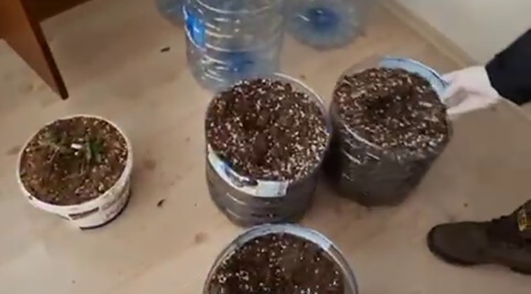 evin bir odasini uyusturucu serasina ceviren suphelileri polis yakaladi 1