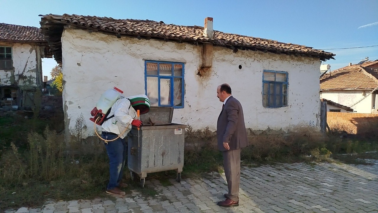 evin catisina yuva yapan esek arilari hastanelik etti 2 WRTr6nM3