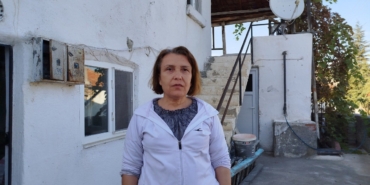 evin-catisina-yuva-yapan-esek-arilari-hastanelik-etti-ap36Enwi.jpg
