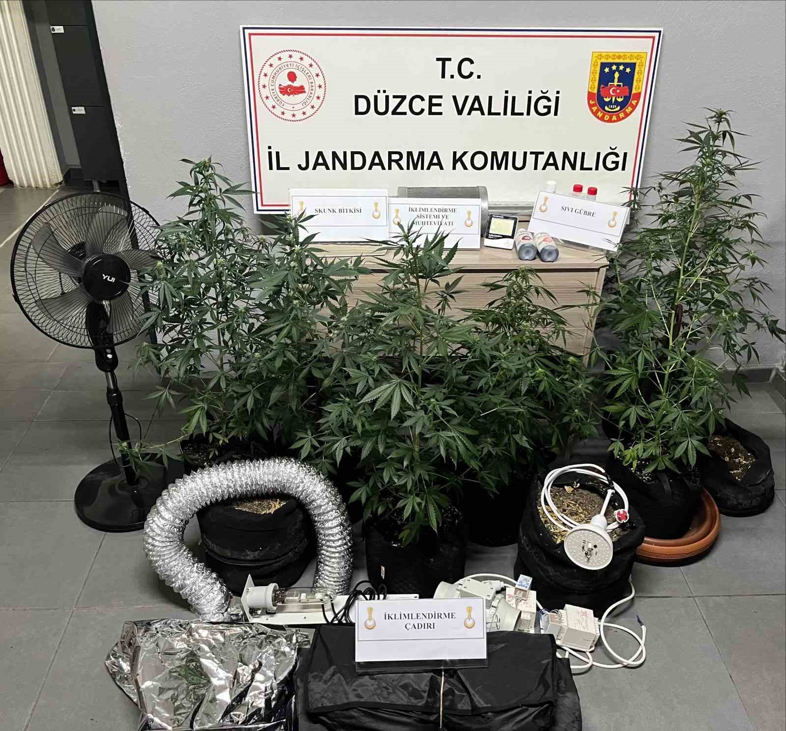 evini kenevir bahcesine ceviren sahis yakalandi 1 I3QSpy2l