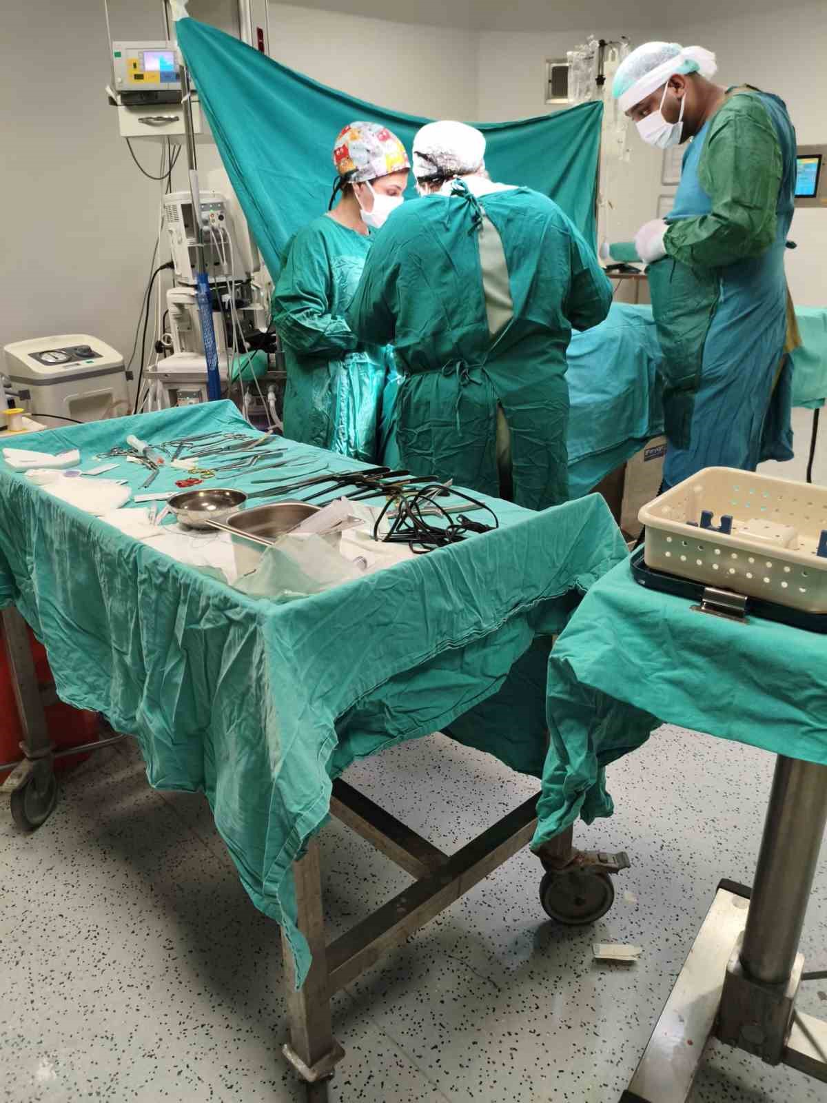 Evladını bulan arama kurtarma görevlisinin alnından öpen baba: "Oğluma bunu yapan caninin en ağır cezayı almasını istiyorum" 11 evladini bulan arama kurtarma gorevlisinin alnindan open baba ogluma bunu yapan caninin en agir