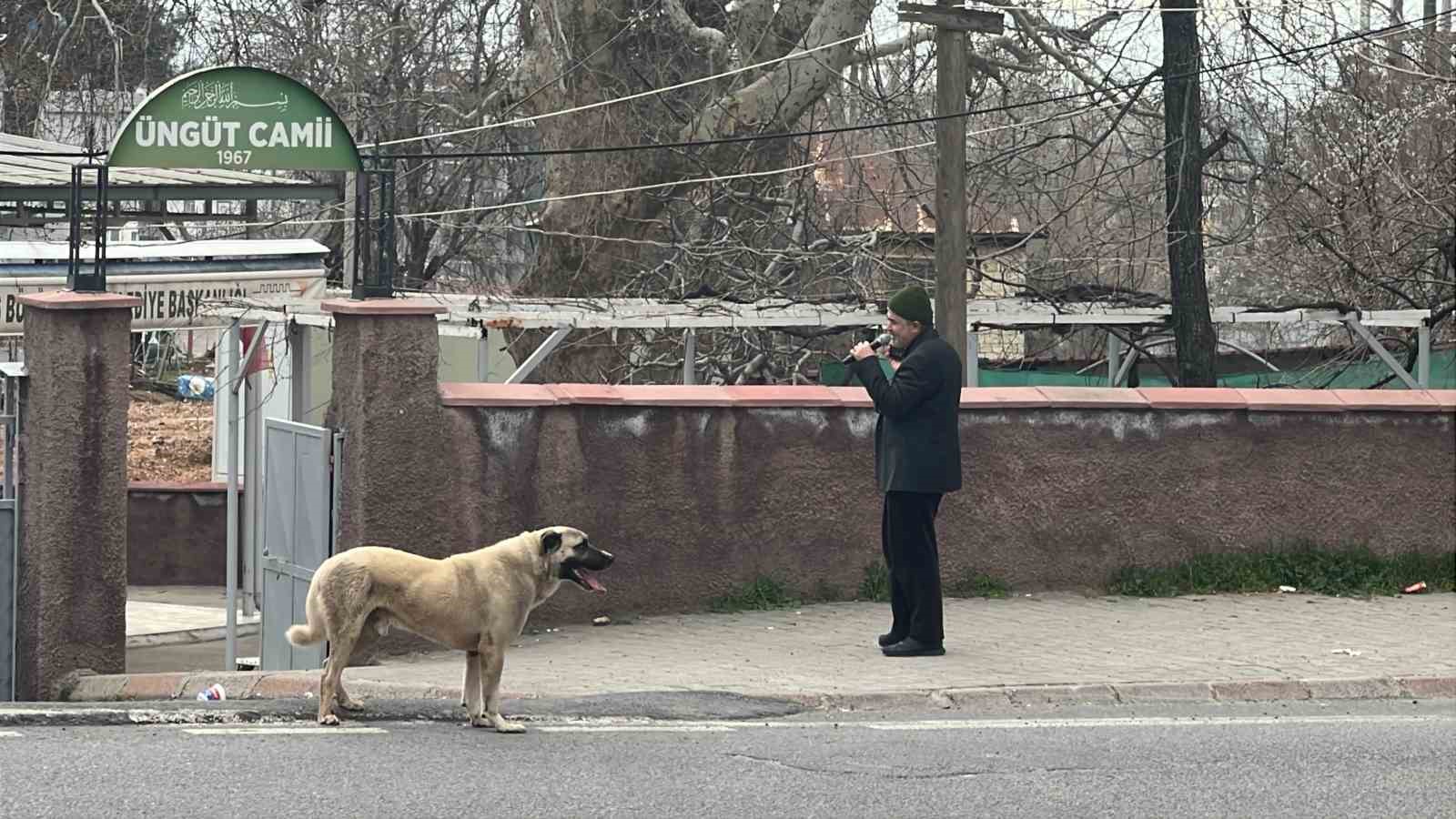 ezanla birlikte uluyan kopek dikkat cekti 1 ccdCKTTZ