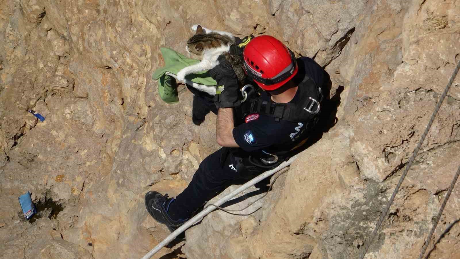 Falezlerde mahsur kalan kedi, itfaiyenin 1 saatlik çalışmasıyla kurtarıldı 4 falezlerde mahsur kalan kedi itfaiyenin 1 saatlik calismasiyla kurtarildi 0 gwJO1n14