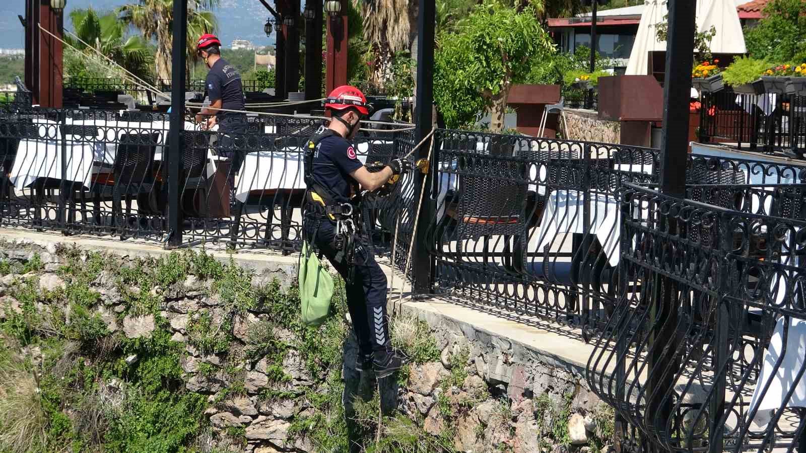 Falezlerde mahsur kalan kedi, itfaiyenin 1 saatlik çalışmasıyla kurtarıldı 7 falezlerde mahsur kalan kedi itfaiyenin 1 saatlik calismasiyla kurtarildi 3