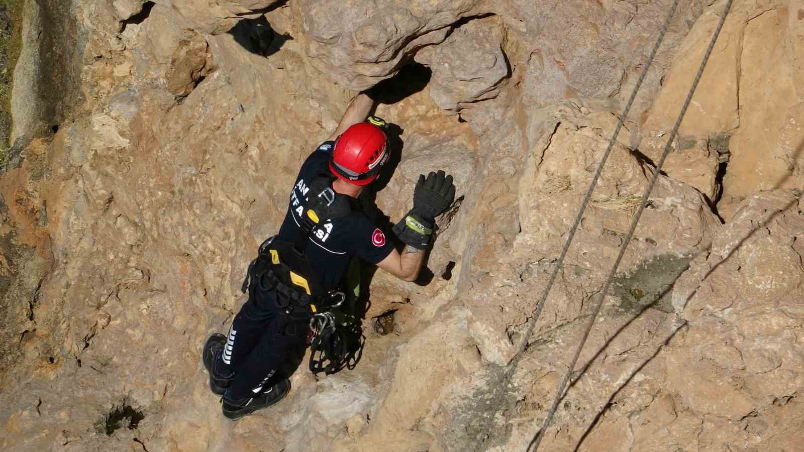 Falezlerde mahsur kalan kedi, itfaiyenin 1 saatlik çalışmasıyla kurtarıldı 9 falezlerde mahsur kalan kedi itfaiyenin 1 saatlik calismasiyla kurtarildi 5 zR4LUC2G