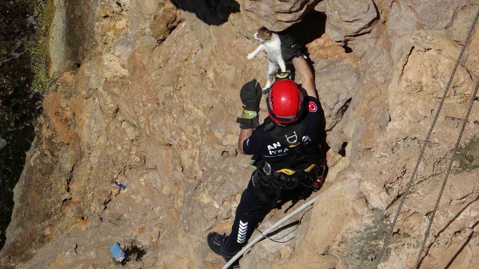 Falezlerde mahsur kalan kedi, itfaiyenin 1 saatlik çalışmasıyla kurtarıldı 10 falezlerde mahsur kalan kedi itfaiyenin 1 saatlik calismasiyla kurtarildi 6 gIDhlGI1