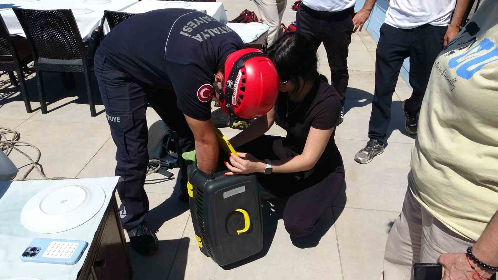 Falezlerde mahsur kalan kedi, itfaiyenin 1 saatlik çalışmasıyla kurtarıldı 12 falezlerde mahsur kalan kedi itfaiyenin 1 saatlik calismasiyla kurtarildi 8