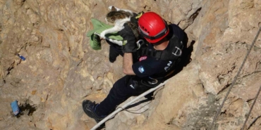 falezlerde-mahsur-kalan-kedi-itfaiyenin-1-saatlik-calismasiyla-kurtarildi-W67BpWm1.jpg
