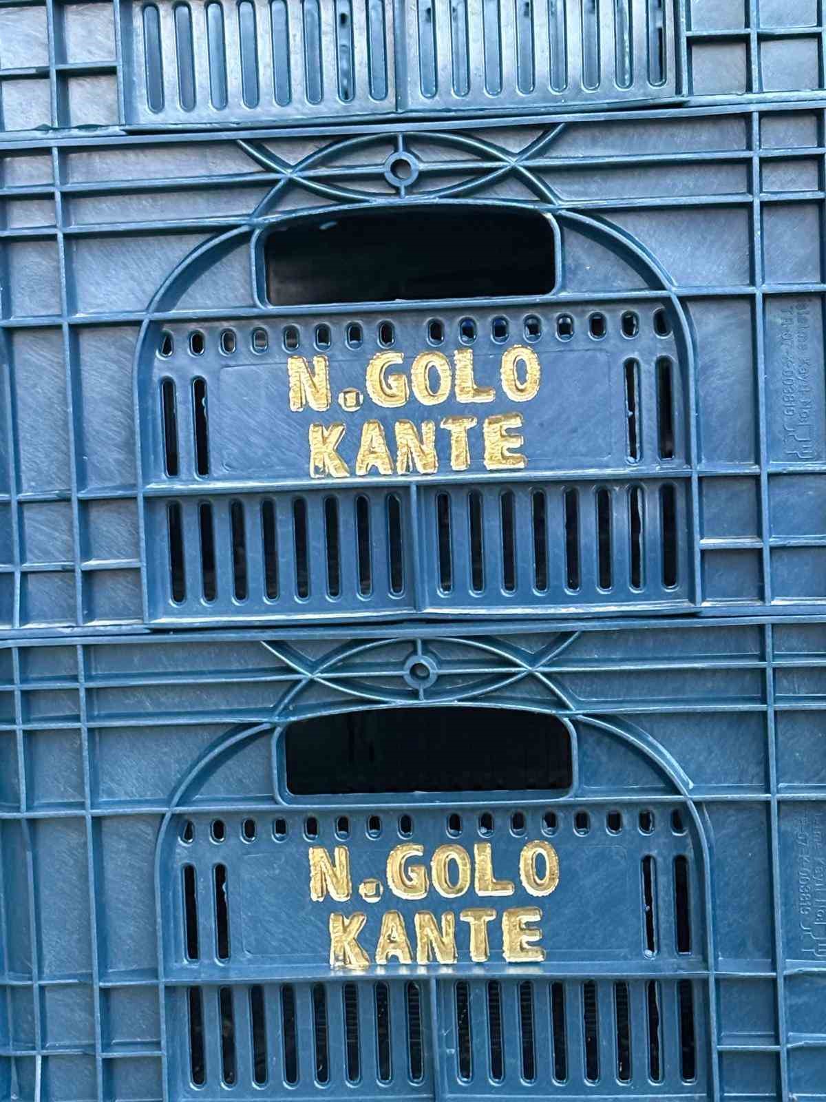 fanatik ureticinin kante sevgisi domatesleri topladigi kasaya bile onun adini yazdirdi 4