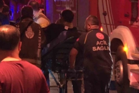 Gaziantep’te 215 kök kenevir ele geçirildi: 1 gözaltı 1 thumbnail