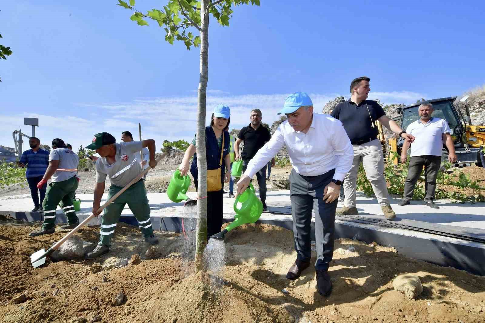 fatihte yesil seferberlik 2 bin 500 agac toprakla bulustu 4 9ZV79jCC