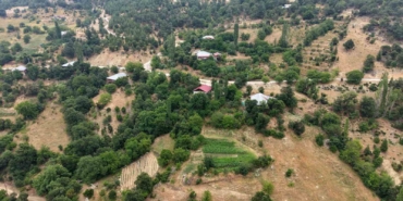 fekenin-dag-koyunde-sari-kantaron-ve-kekik-geleneksel-yontemlerle-sifa-kaynagina-donusuyor-CABJ1t3F.jpg