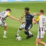 fenerbahce-avusturya-kampini-lask-linz-galibiyetiyle-tamamladi-Y1459QLJ.jpg